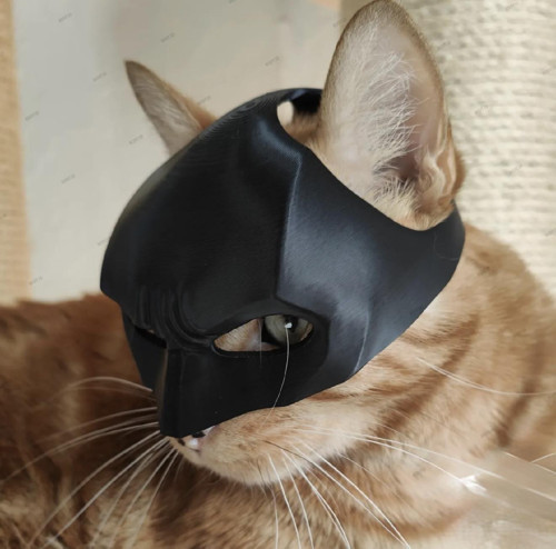Siyah Batman Kedi Maske - Giyilebilir Kedi Maskesi Evcil Hayvan Maskesi