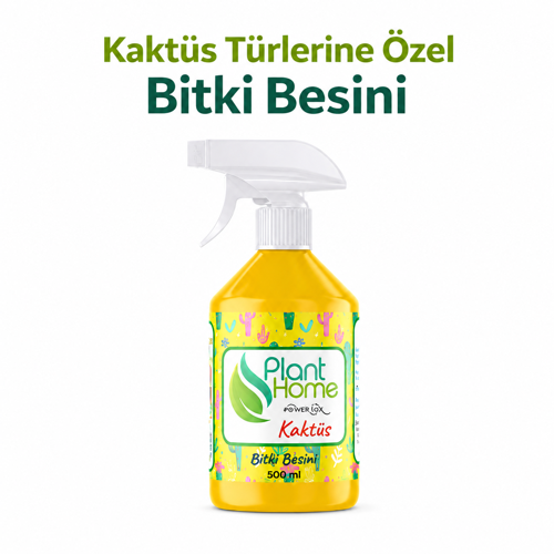 Kaktüs ve Sukulent Bitki Besini Sprey Kök ve Gelişim Desteği 500 ml