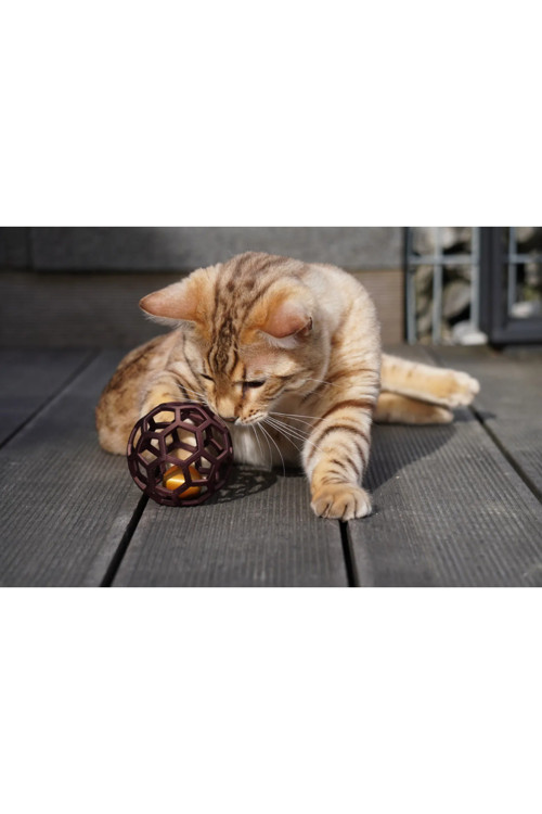 Kedi & Köpek Topu | Dikkat Çeken Top İçerisinde Küçük Top, Darbeye Dayanaklı,
