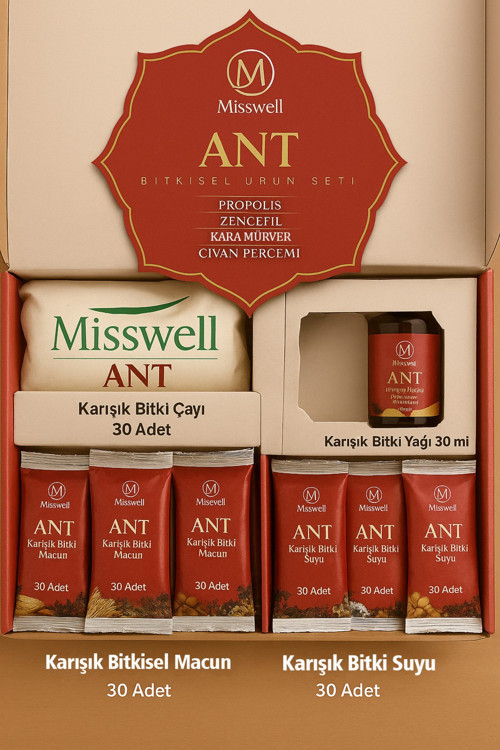 ANT SETİ