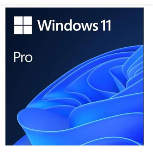 WINDOWS 11 PRO 32/64 BIT TR KUTU USB HAV-00159