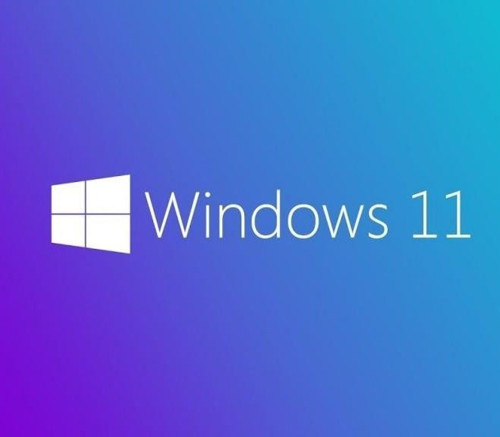 WINDOWS 11 PRO 64 BIT TURKCE OEM FQC-10556