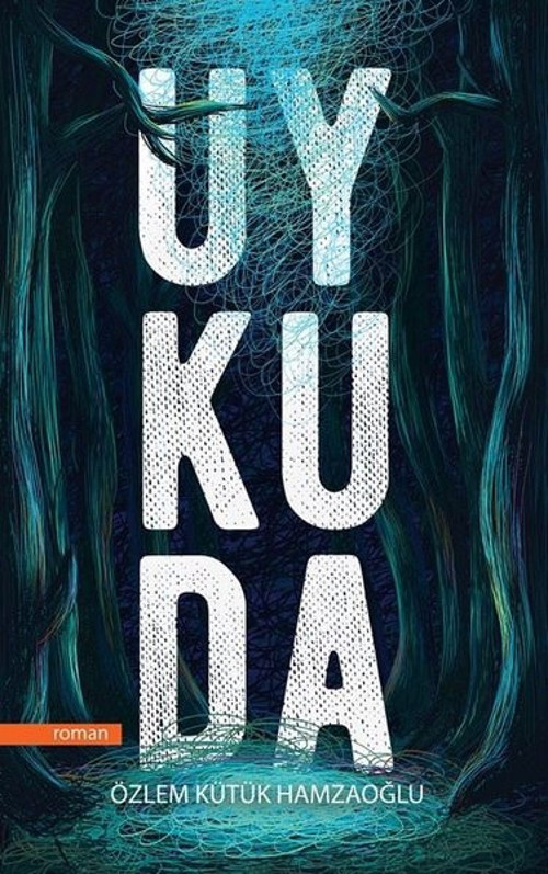 Uykuda