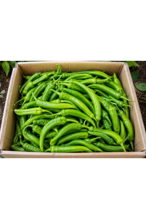 Köy Biberi 1 Kg
