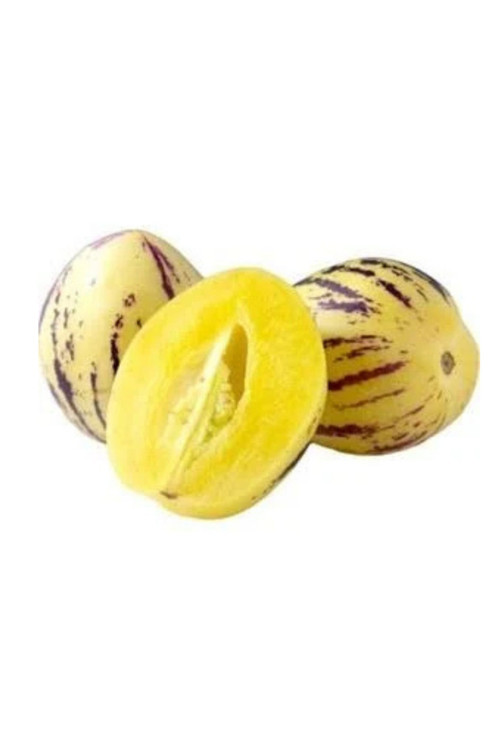 Pepino 1 Adet