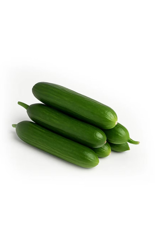 Salatalık 1 Kg