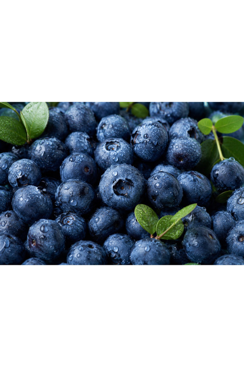 Blueberry 500 Gram