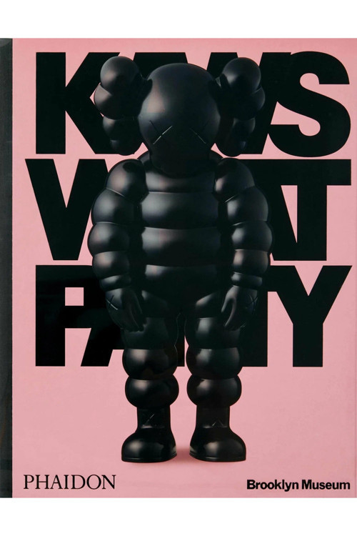 Kaws What Party 24 CM BÜYÜK BOY