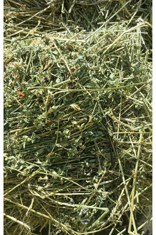 Yonca Kuru Kemirgen Otu 2 kg Bol Çiçekli.