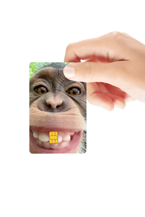 Sırıtan Maymun Temalı Parlak Kredi/Banka Kart Kaplama Sticker