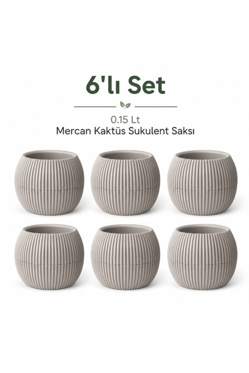 Mercan Kaktüs Sukulent Mini Bitki Saksısı 6Lı Set