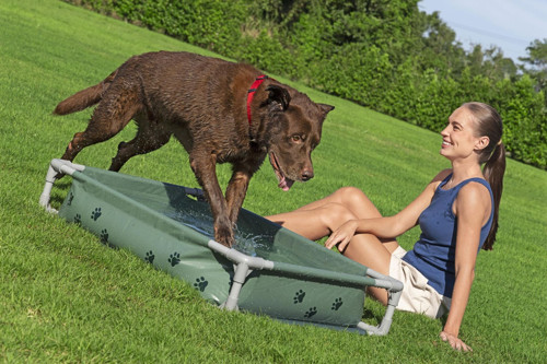 561RG Fetchin Fun Köpek Oyun Havuzu & Yükseltilmiş Yatak 1,02 m x 74 cm x 20 cm