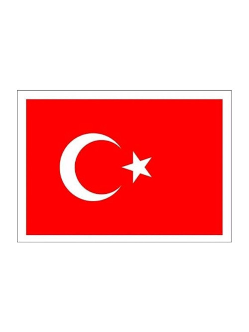 Bayrak Çıkartma 10,5 x 15,5 (10 Adet)