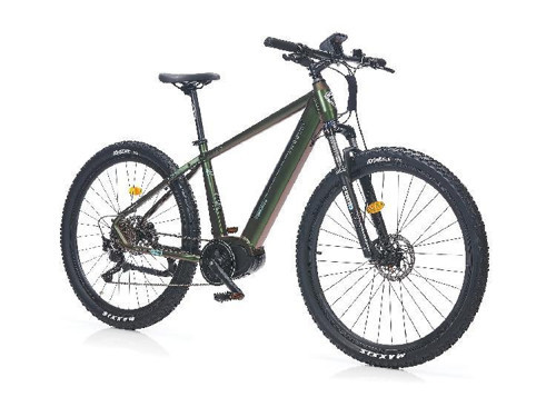 Ralf 29 Jant 18K Elektrikli Bisiklet Green