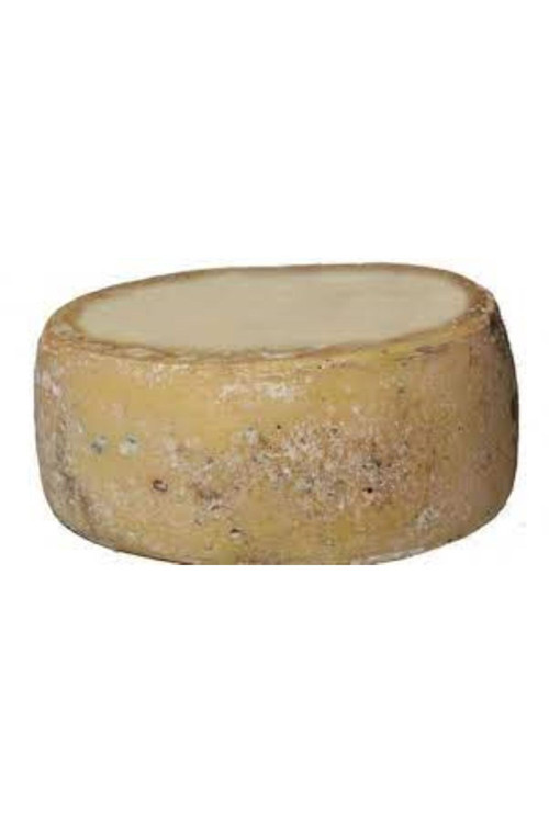 Trakya Eski İnek Kaşarı- 11 Kg (Kelle)