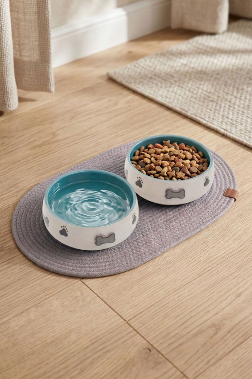 2'li Seramik Mama Kabı – Kedi ve Köpekler için Kaydırmaz Paspaslı Mama ve Su Kasesi - 600 ml