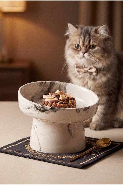 15° Eğik Seramik Kedi Mama Kabı – Yükseltilmiş, Kaymaz, Doğal ve Sağlıklı Mama Kasesi