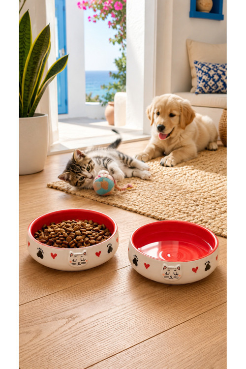 Kedi & Köpek, Evcil Hayvan Mama Ve Su Kabı-2Li Kabartma Desenli Set, 350 Ml