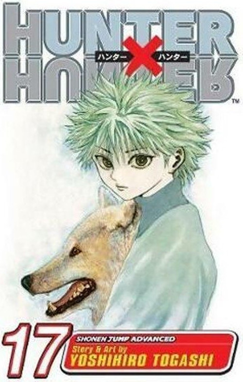 Hunter x Hunter, Vol. 17 (Hunter X Hunter)