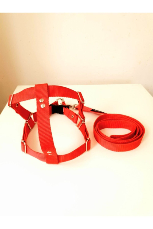 Kırmızı Köpek Göğüs Bel Tasma Takımı Xxl Beden (75-85 Cm)