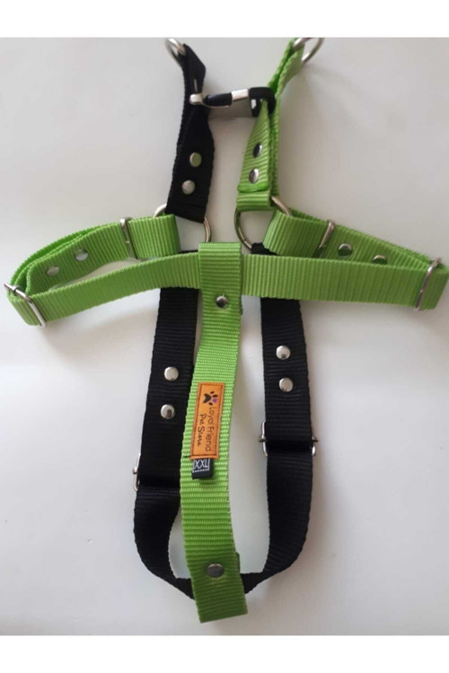 KÖPEK BELTASMA TAKIMI SİYAH VE NEON YEŞİLİ İKİ RENK