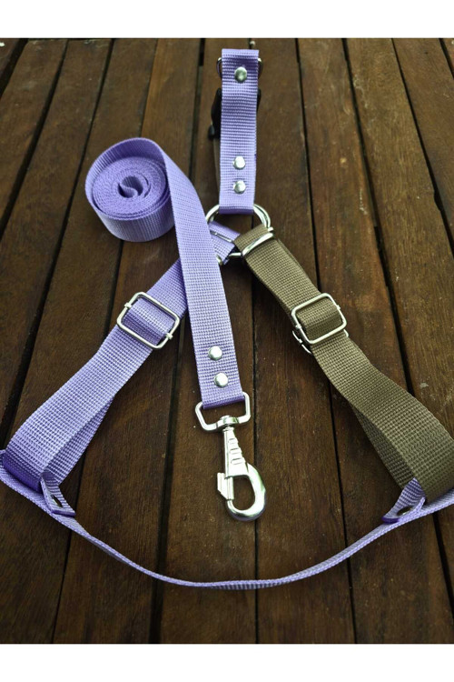 KÖPEK GÖĞÜS TASMA (BEL TASMASI) TAKIMI (55-65CM) L BEDEN