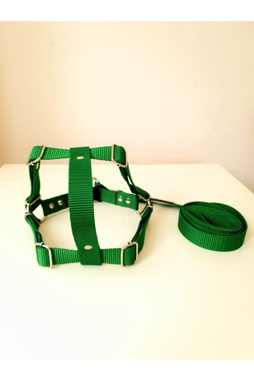 Yeşil Köpek Göğüs Bel Tasma Takımı Xxl Beden (75-85 Cm)