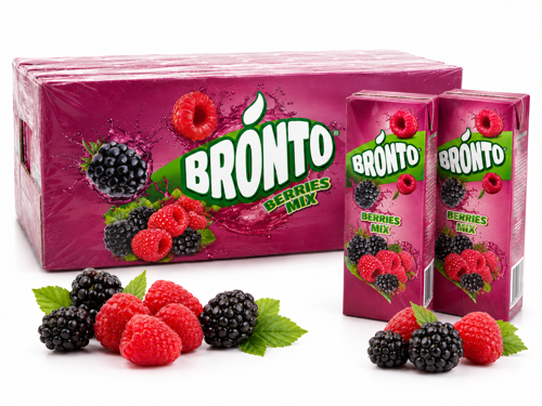 Bronto Dut Aromalı İçecek 200 ml x 27 Adet – Koli