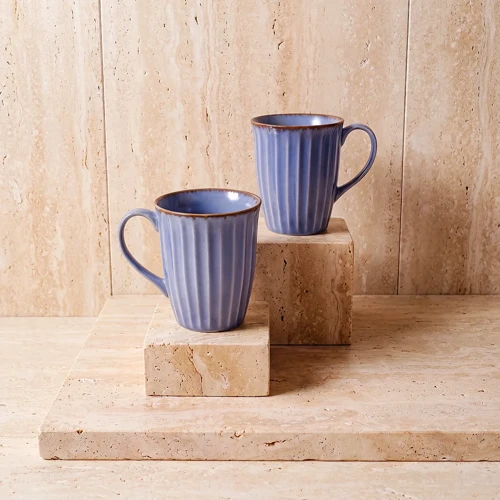 Mavi Rölyef Desenli 2li Porselen Mug Seti