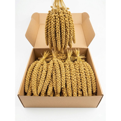Sarı Dal Darı 25-30cm 1 Kg