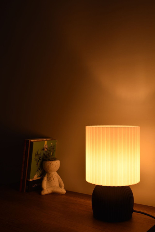 Lustrous Modern Abajur