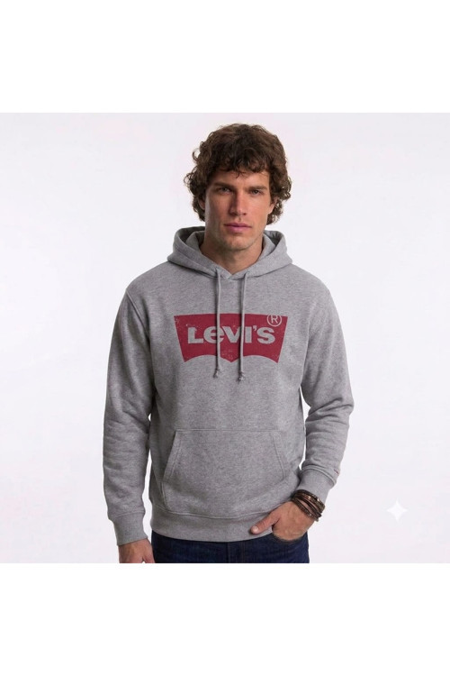 pamuk kapüşonlu gri erkek sweat Standard Graphic Hoodie