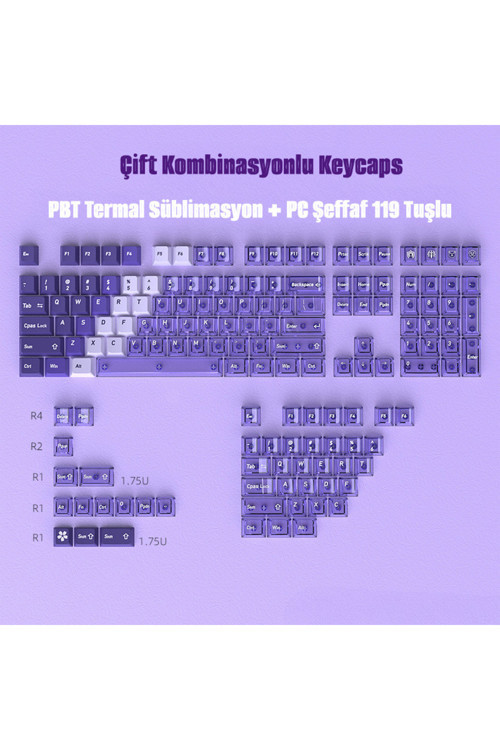 Mekanik Klavye Tuş Takımı 119 Tuş Keycaps PBT Süblimasyonlu Çift Renkli Klavye Başlığı (Saydam-Opak)