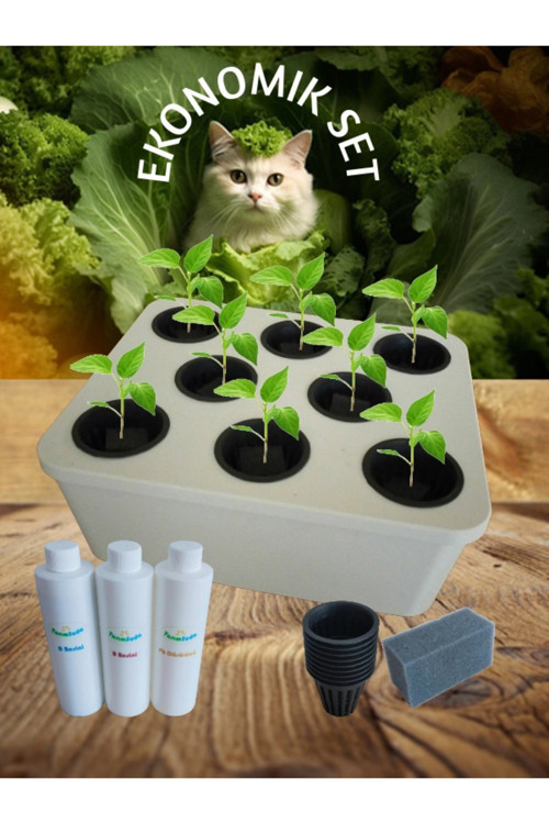 Topraksız Tarım Ekonomik Set Beyaz Hidroponik Set Suda Tarım Hobi Seti