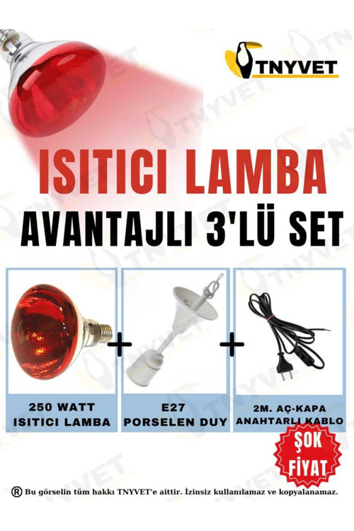 ISITICI LAMBA 250 WATT + E27 SERAMİK DUY+2M FİŞLİ KABLO AVANTAJLI SET