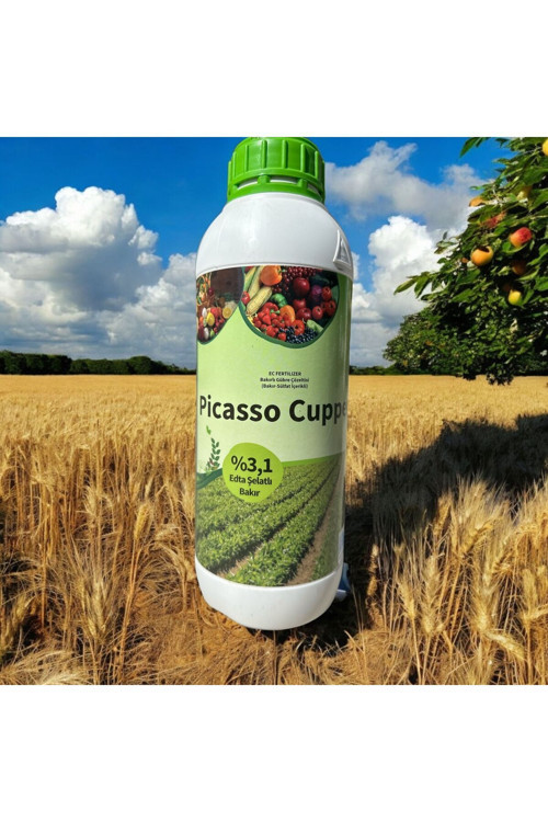 PİCASSO 1 LT SIVI BAKIR