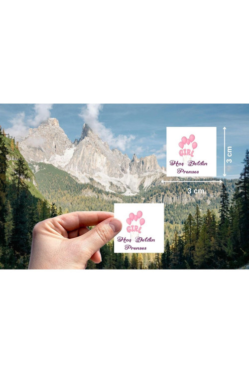 Hoş Geldin Prenses Etiketi Pembe Kız Bebek Mat Sticker 3 Cm (30 Adet)