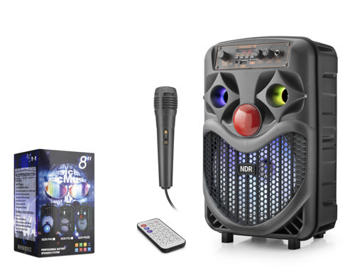 NDRP66 Karaoke Mikrofonlu Bluetooth Hoparlör FM Radyo 10W 8 İnç RGB Siyah