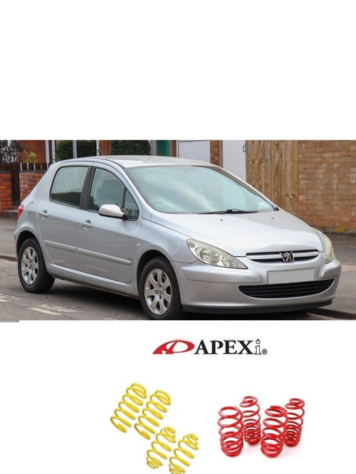 peugeot 307 hb apexi 4.5 cm ön arka spor yay