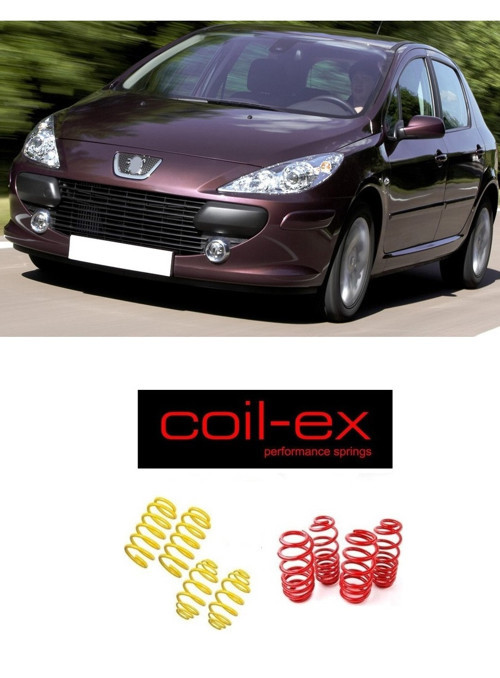 peugeot 307 hb coil-ex 4.5 cm ön arka spor yay