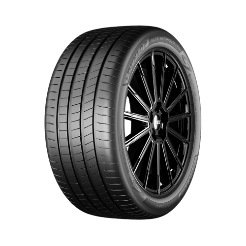 205/55R19 97V XL Blue Response Tg Ev Yaz Lastiği 2026