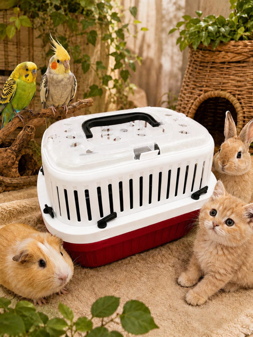 Kuş, hamster, ginepig, tavşan ve yavru kedi taşıma kutusu