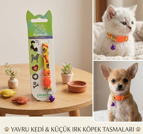 Yavru kedi ve küçük ırk köpek tasması(zillidir)