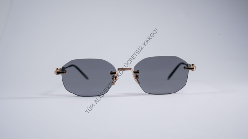 PD 7032 SRGLD/MGRN 55-18-145 Unisex Günes Gözlük