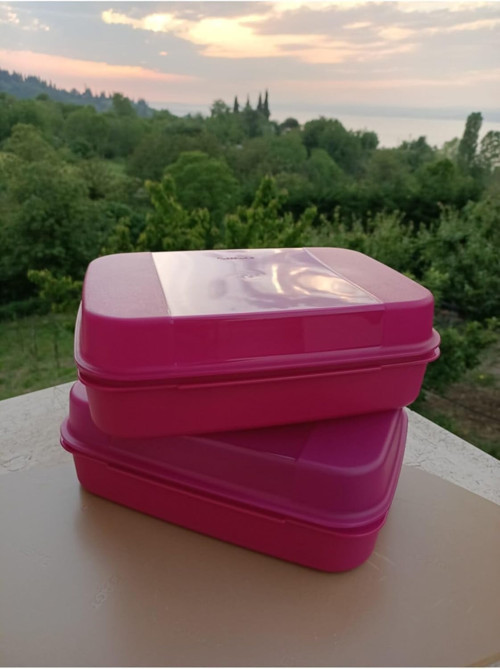 F20 Saklama Kabı 2Li Pembe