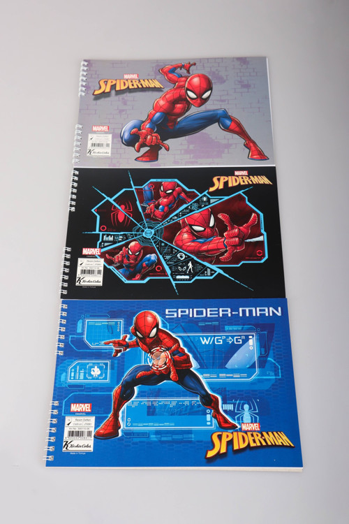 DEKOMUS İLE LİSANSLI SPIDERMAN "TEKLİ" RESİM DEFTERİ 17*24 CM 15 YAPRAK