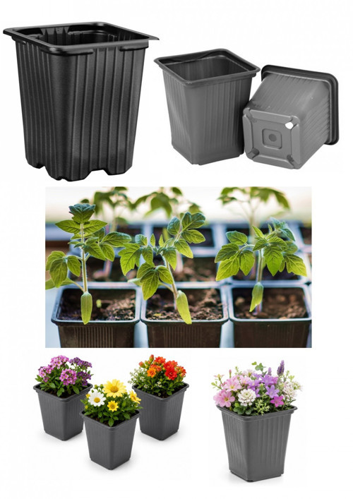 FİDE SAKSISI 20 ADET - KARE 9X9 CM THERMOFORM SAKSI
