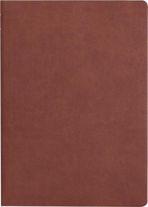 - A5 - 160 Yaprak Tomoe River Defter - Golden Brown