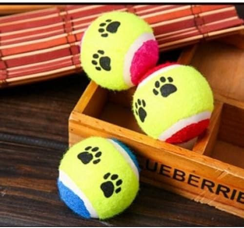 At Getir Köpek Eğitim Topu