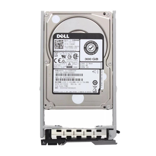 300GB 2.5" 10K 12G SAS HDD (Kızak Dahil)
